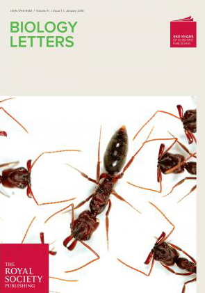 BL cover